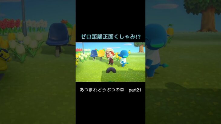 頼む！マナーを守って！#nintendoswitch #ゲーム実況 #ゲーム #あつ森 #あつまれどうふつの森