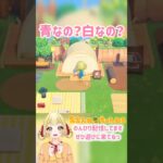 本体はどっちなの？ #みおんぬ #short #あつ森 #あつまれどうぶつの森