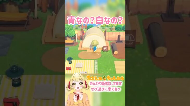 本体はどっちなの？ #みおんぬ #short #あつ森 #あつまれどうぶつの森
