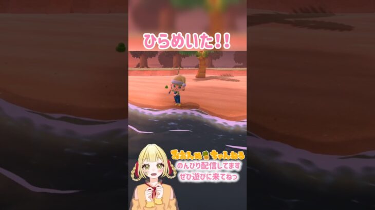 群れを想像して…！？ #みおんぬ #short #あつ森 #あつまれどうぶつの森