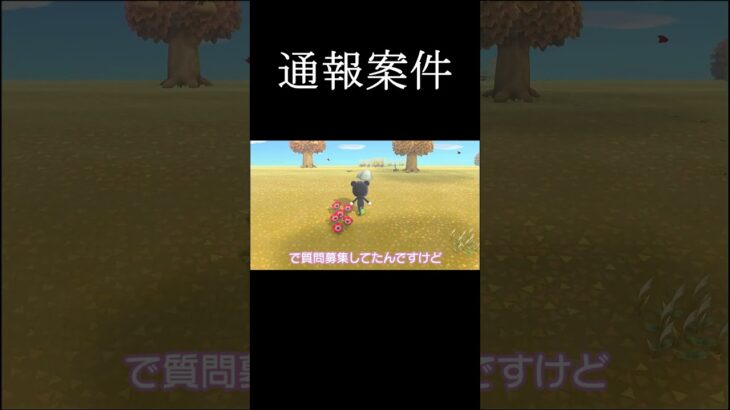 特定ヤメテクダサイ　#ゲーム実況　#みんなの娘　#short    #shorts  #あつ森　#あつまれどうぶつの森