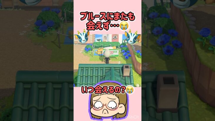 【あつ森】🍌バナーナ…が口癖さっ😎！！#あつ森 #あつまれどうぶつの森 #あつ森実況 #ともちんのゲーム部屋 #short #shorts