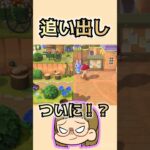 【あつ森】ついにあの子にモヤが…！？😳😳😳#あつ森 #あつまれどうぶつの森 #ともちんのゲーム部屋 #short #shorts