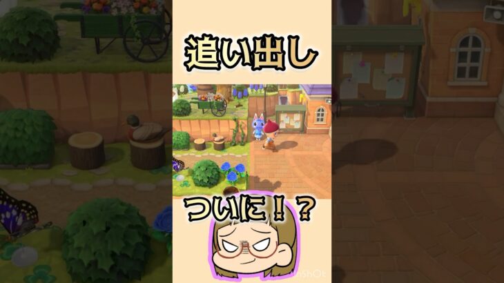 【あつ森】ついにあの子にモヤが…！？😳😳😳#あつ森 #あつまれどうぶつの森 #ともちんのゲーム部屋 #short #shorts