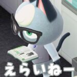 【あつ森】私の島のネコたちを紹介する・・・ #shorts #あつ森 #あつまれどうぶつの森 #ゲーム実況