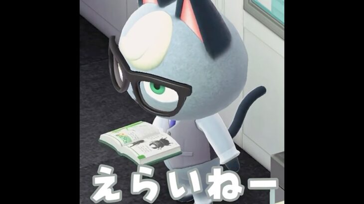 【あつ森】私の島のネコたちを紹介する・・・ #shorts #あつ森 #あつまれどうぶつの森 #ゲーム実況