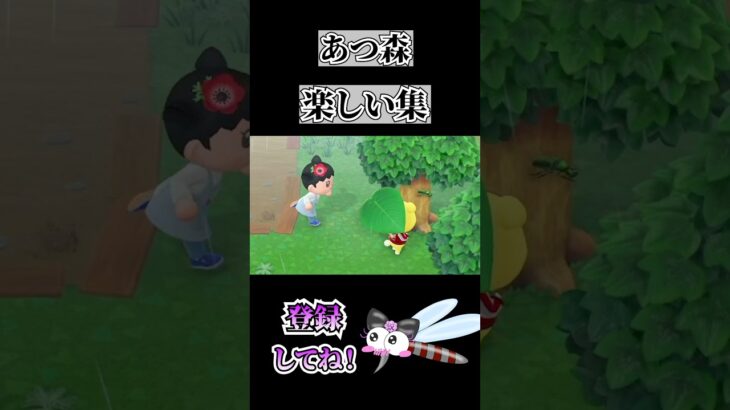 あつ森おもれぇ〜　#shorts #ゲーム実況 #あつ森