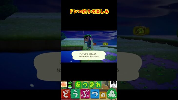 ドンコ釣りの楽しみ #あつまれどうぶつの森 #shorts #あつ森