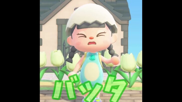【あつ森】バッタの種類が盛りだくさん？！？#shorts  #あつ森 #あつまれどうぶつの森 #ゲーム実況