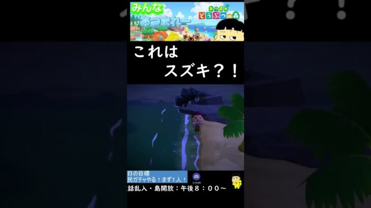 でっかいスズキ#shorts #あつ森 #ゲーム実況