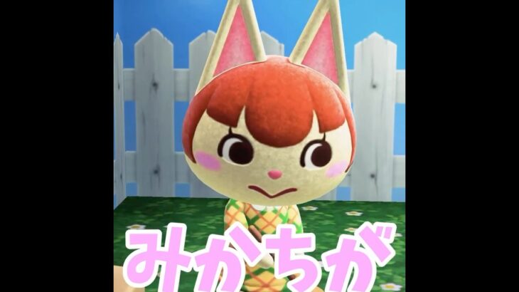 【号泣】愛しのみかちとお別れです・・（泣) #shorts #あつ森 #あつまれどうぶつの森 #ゲーム実況