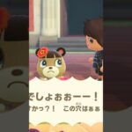 【あつ森】久しぶりにメイちゃんを落とし穴に落としてみた…。　#shorts #あつ森