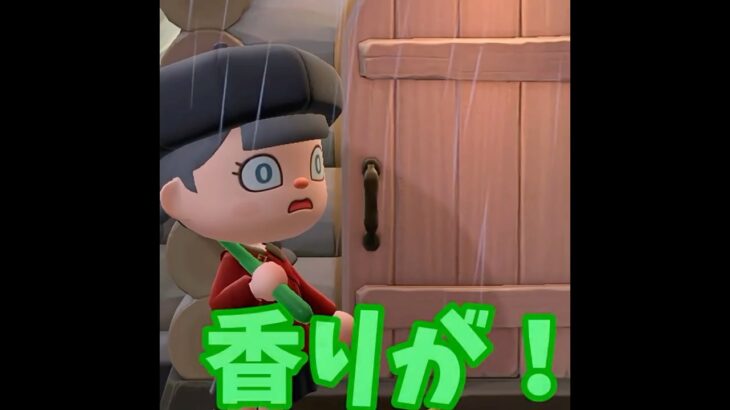 【あつ森】大雨のなか・・野菜の香りが・・！！？ #shorts #あつ森 #あつまれどうぶつの森 #ゲーム実況