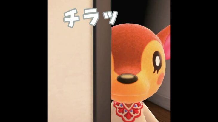 【あつ森】コンサートを開きたいシカが現る！？！ #shorts #あつ森 #あつまれどうぶつの森 #ゲーム実況