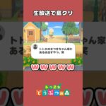 【あつ森】視聴者さんにアドバイスもらいながら島クリしたら…#あつまれどうぶつの森 #あつ森 #島クリエイト #shorts