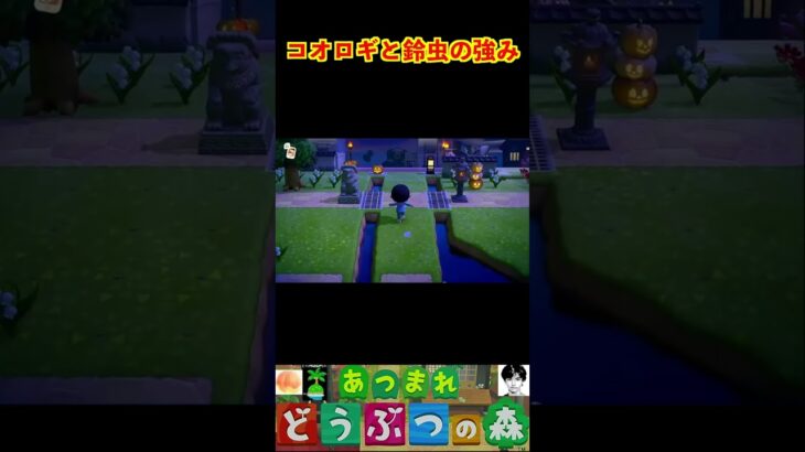 コオロギと鈴虫の強み #あつまれどうぶつの森 #shorts #あつ森