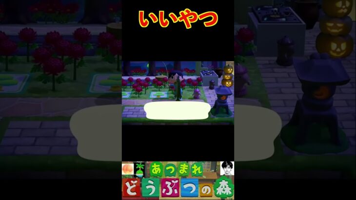 いいやつ #あつまれどうぶつの森 #shorts #あつ森