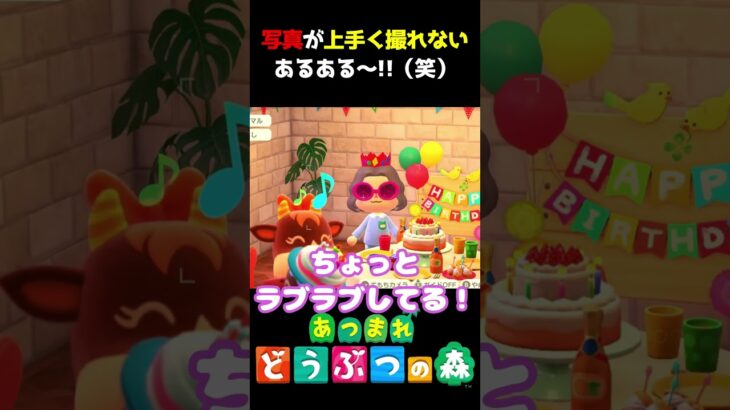 おーい!!本日の主役～～～!!ｗｗｗ #あつ森  #shorts #けいとかんな