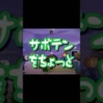 サボテン🌵じゃないよ！【あつ森】#shorts #あつ森 #ハロウィン