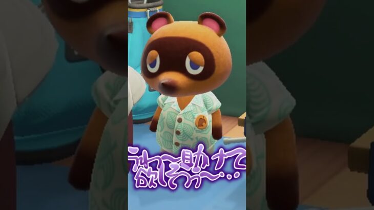 【#あつ森 】嫌な予感がする…😭【#shorts #ゲーム実況 】