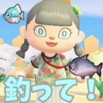 【あつ森】住民に似合う魚を…見つけるぞーー！！ #shorts #あつ森 #あつまれどうぶつの森 #ゲーム実況