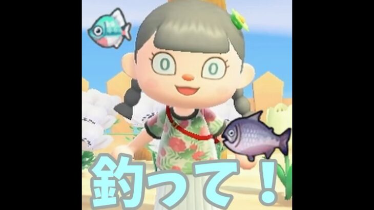 【あつ森】住民に似合う魚を…見つけるぞーー！！ #shorts #あつ森 #あつまれどうぶつの森 #ゲーム実況