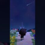 【あつ森】流星群の日に空に向かってパチンコを打ち続けると、星が落ちてくる説。　#shorts #あつ森