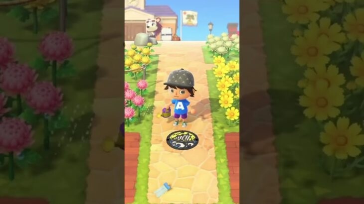 【あつ森】マンホールに水をかけると、ゴキブリが出てくる説。　#shorts #あつ森
