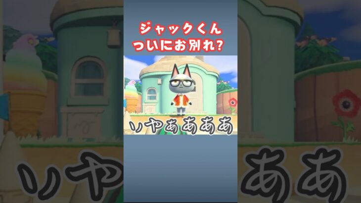 ペンギン島の最後のネコ、ジャックの旅立ち【あつ森】#shorts #あつ森 #ジャック