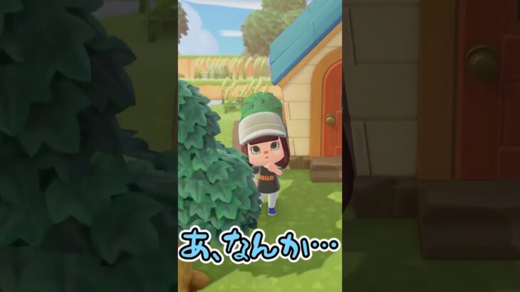 【#あつ森 】ジョニーはセンスなしっと…φ(．．)ﾒﾓﾒﾓ 【#shorts #ゲーム実況 】