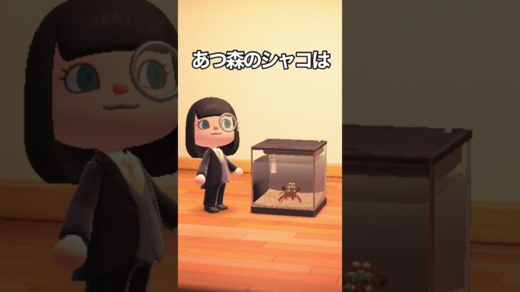 あつ森のシャコは #shorts #あつ森