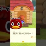 おたんじょうびの悲劇【あつ森shorts】 #あつ森 #あつまれどうぶつの森