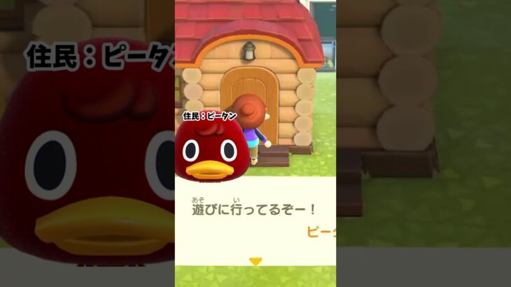 おたんじょうびの悲劇【あつ森shorts】 #あつ森 #あつまれどうぶつの森