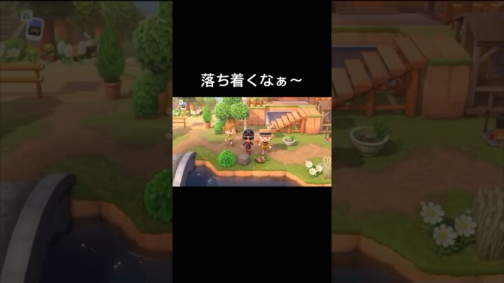 【あつ森】田舎風の島クリでのどかな生活！フレンドの島を訪問しました！【あつまれどうぶつの森】#shorts #ゲーム実況 #あつ森