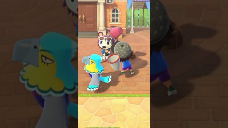 【あつ森】ことのさんを網で叩きまくってみた。　#shorts #あつ森