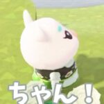 【あつ森】ゆきみが困ってる！！どうしたの?? #shorts #あつ森 #あつまれどうぶつの森 #実況