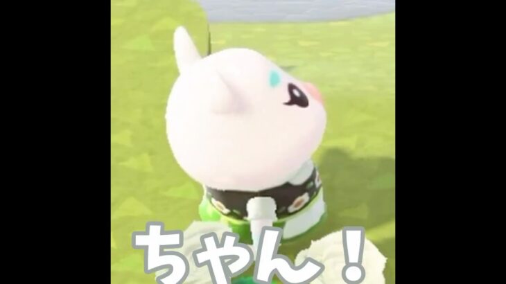 【あつ森】ゆきみが困ってる！！どうしたの?? #shorts #あつ森 #あつまれどうぶつの森 #実況