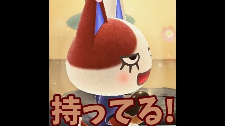 【あつ森】キャンプサイトにきたネコが優しい・・・?? #shorts #あつ森 #あつまれどうぶつの森 #ゲーム実況
