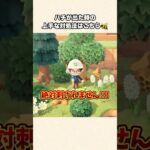 【あつ森】自称蜂マスター！ハチが出てきたときの上手な対処法はこれです！【あつまれどうぶつの森】#shorts #あつ森