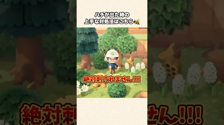 【あつ森】自称蜂マスター！ハチが出てきたときの上手な対処法はこれです！【あつまれどうぶつの森】#shorts #あつ森