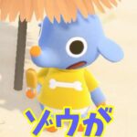 【あつ森】動物園にいそうなゾウが現れた?!? #shorts #あつ森 #あつまれどうぶつの森 #実況
