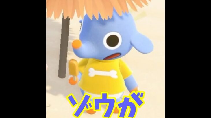 【あつ森】動物園にいそうなゾウが現れた?!? #shorts #あつ森 #あつまれどうぶつの森 #実況