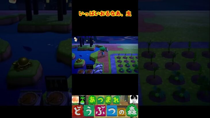 いっぱいおるなあ、虫 #あつまれどうぶつの森 #shorts #あつ森