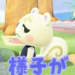 【あつ森】おや？ジュンの様子が・・・！ #shorts #あつ森 #あつまれどうぶつの森 #ゲーム実況