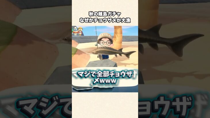 【あつ森】レアザメ大漁！秋の離島ガチャで何故かゲットできるレアな鮫【あつまれどうぶつの森】#shorts #あつ森