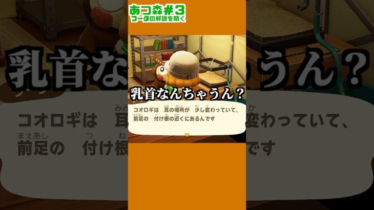 パンの耳より耳じゃないやろ【あつ森】#shorts #あつ森 #ゲーム実況
