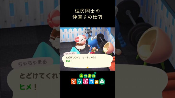 【あつ森】住民同士の仲直りの仕方　#shorts