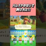 ハムスケのせいでハチに刺された!!笑【あつ森】#あつまれどうぶつの森 #あつ森 #shorts