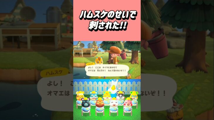 ハムスケのせいでハチに刺された!!笑【あつ森】#あつまれどうぶつの森 #あつ森 #shorts
