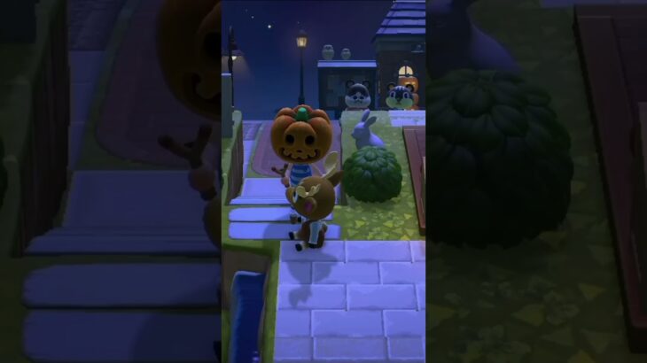 【あつ森】かぼちゃが泳ぐのちょっと面白い🎃#あつ森 #ゲーム #shorts